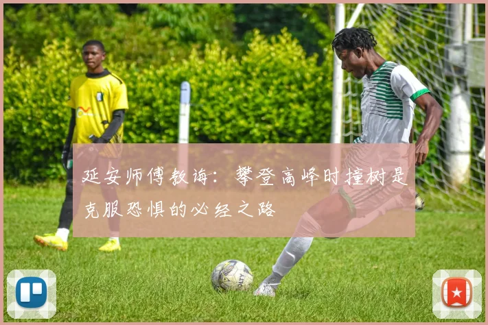 延安师傅教诲：攀登高峰时撞树是克服恐惧的必经之路