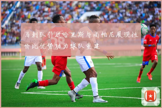 马刺队引进哈里斯与尚帕尼展现性价比优势助力球队重建