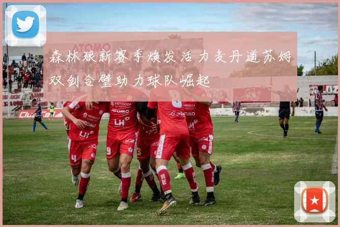 森林狼新赛季焕发活力麦丹道苏姆双剑合璧助力球队崛起